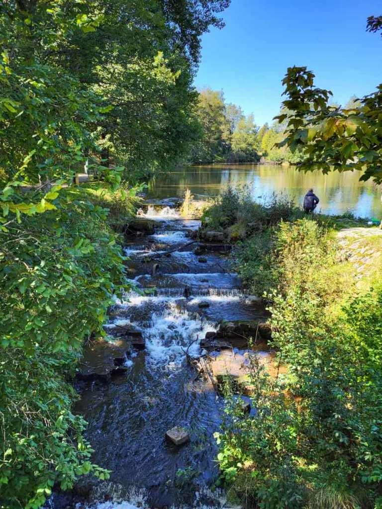 Die Kirnach am Talsee in Unterkirnach