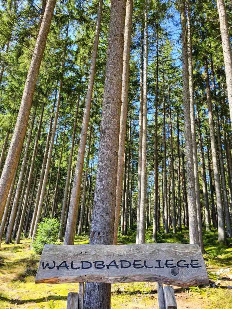 Waldbadeliege mit Tannenblick in Unterkirnach