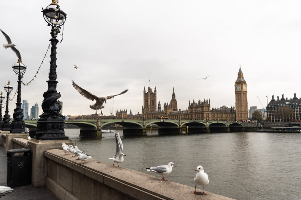 Blick über die Themse auf Westminster