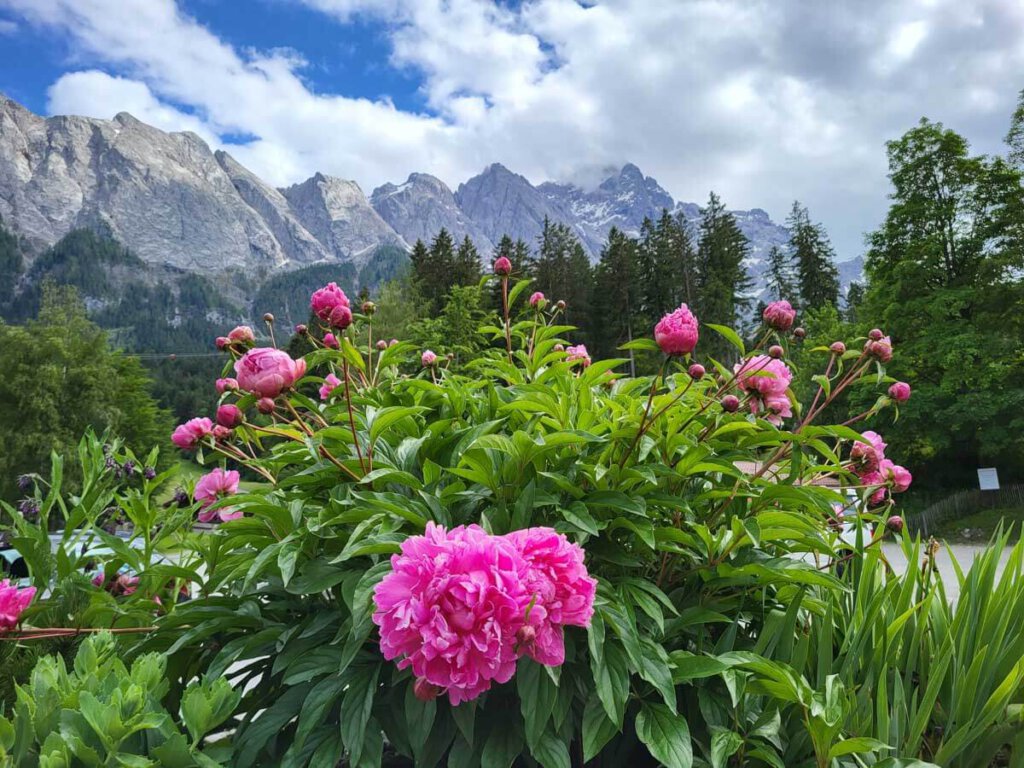 Blick aufs imposante Zugspitzmassiv