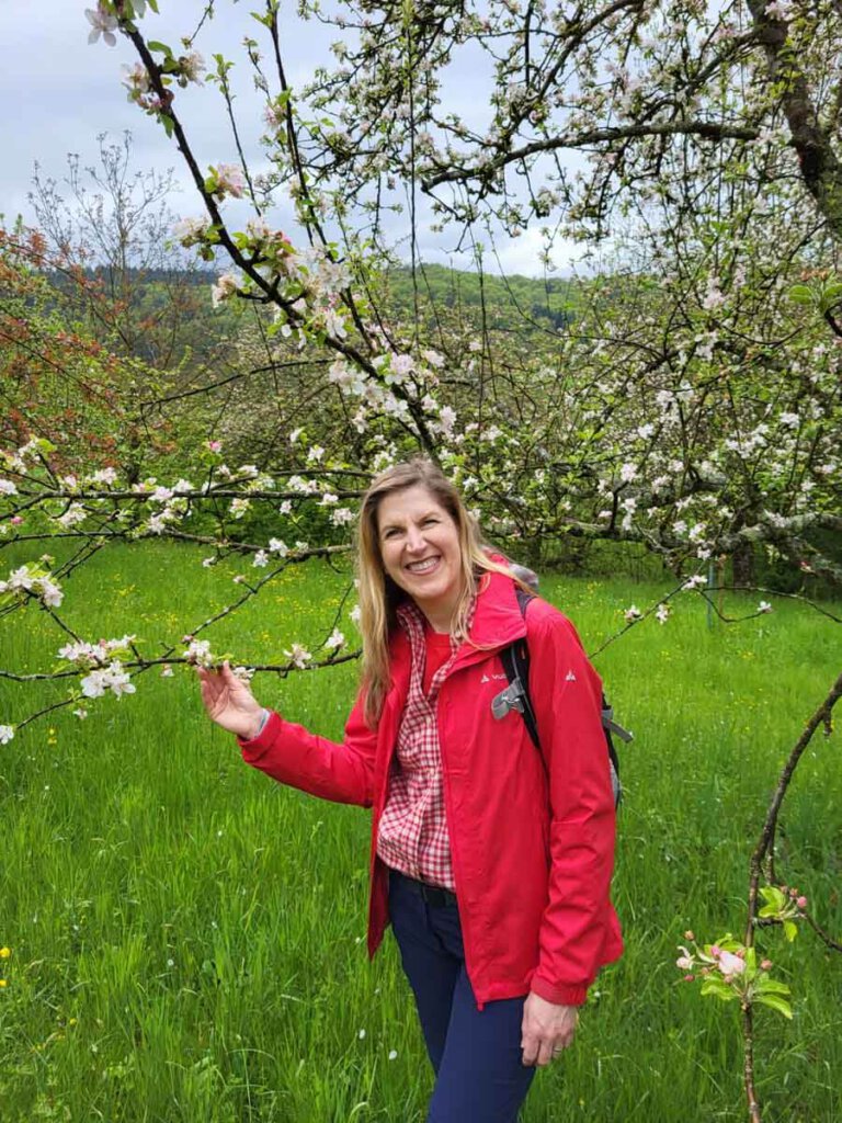 Apfelblüte am Landschaftserlebnisweg 's Äpple im Schwäbischen Mostviertel