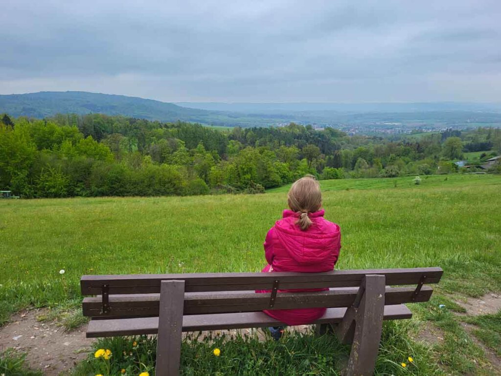 Aussicht vom Wilhelmsheim über die Backnanger Bucht