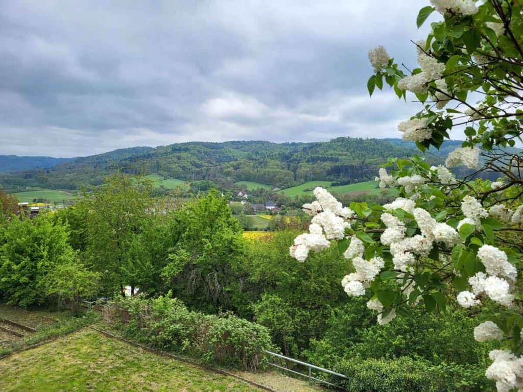 Blick von Burg Reichenberg auf den Naturpark Schwäbisch-Fränkischer Wald