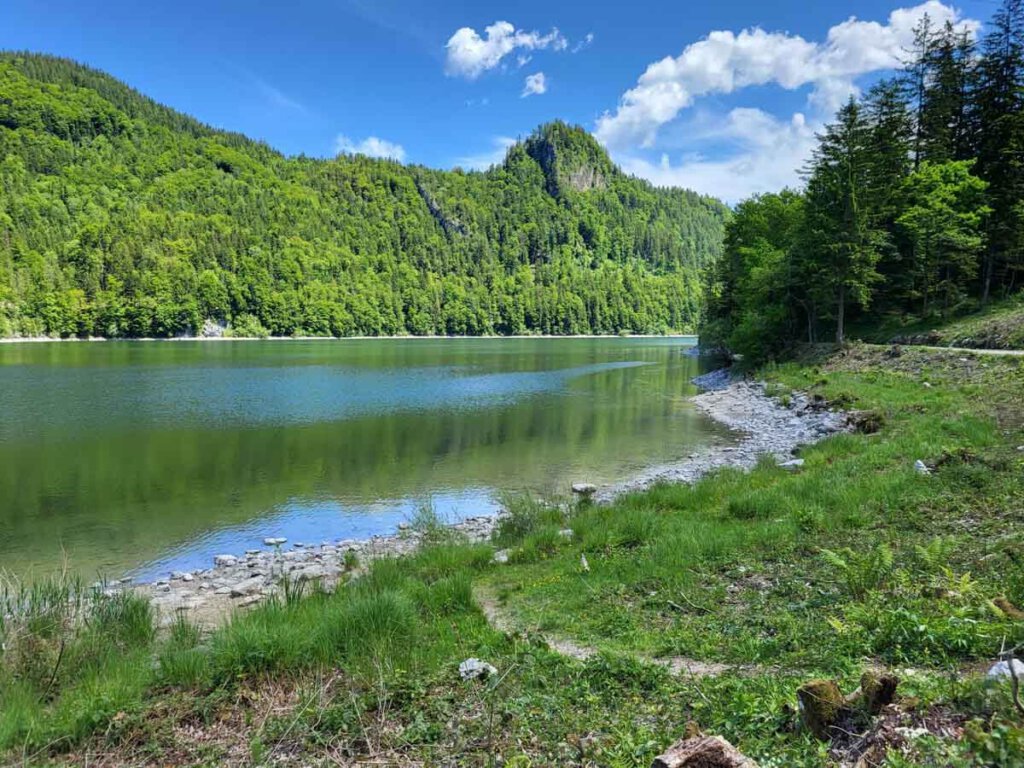 Dunkler Bergsee im Salzkammergut: Der Schwarzensee
