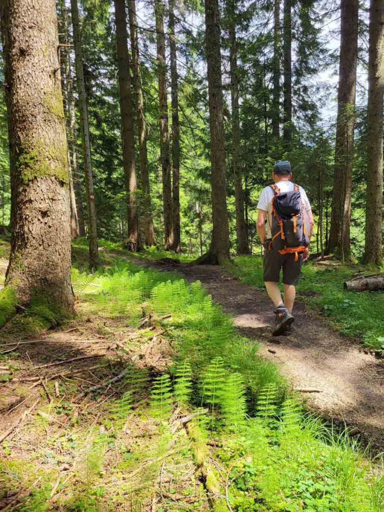 Auf dem historischen Römerweg durch die Wälder des Salzkammerguts