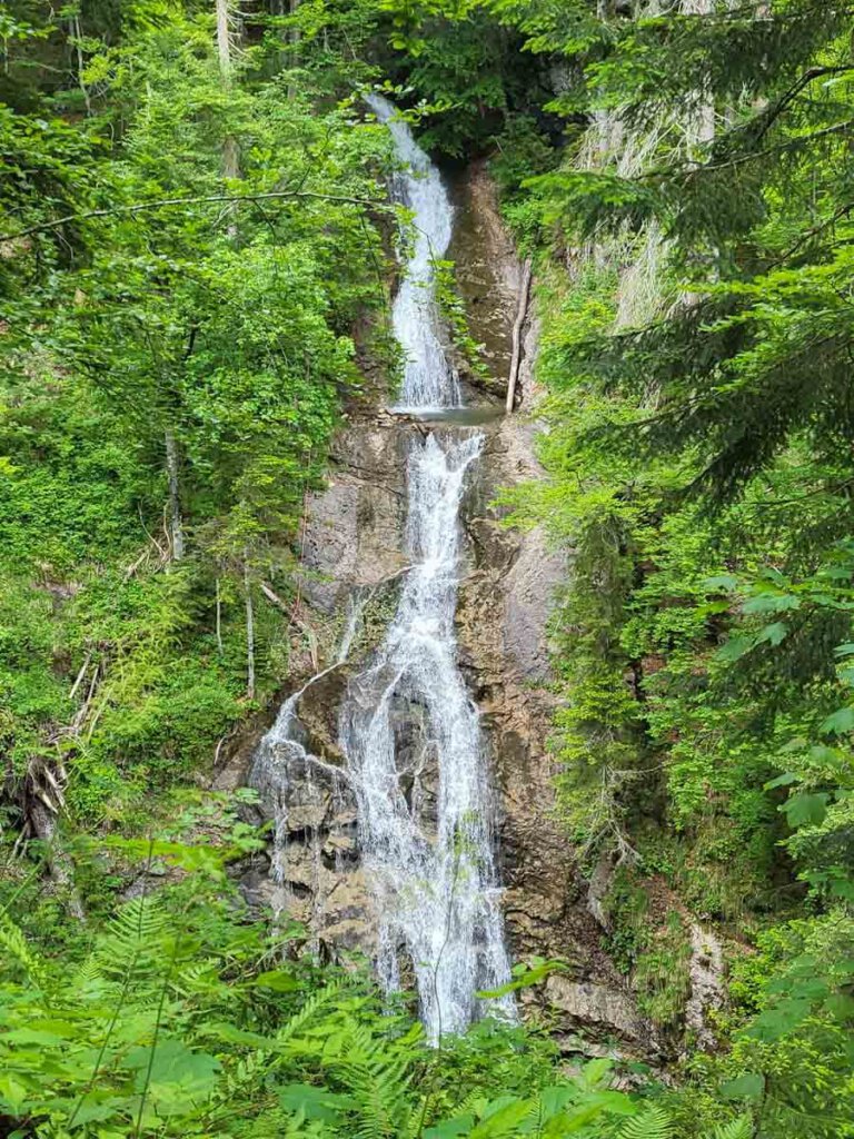 Der rauschende Trattenbach-Wasserfall im Salzkammergut Österreich