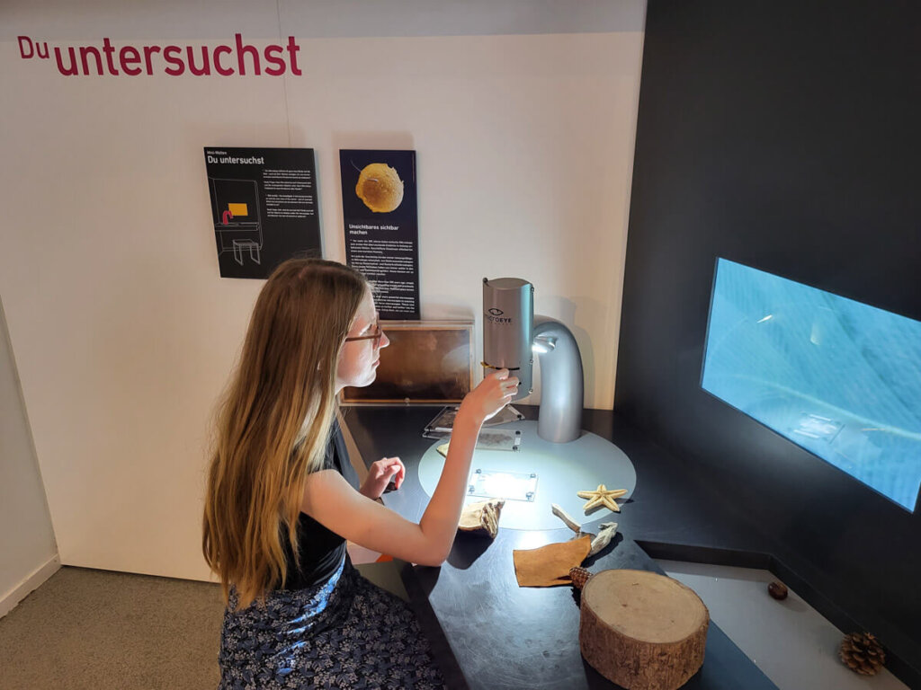 Untersuchen von Texturen am Mikroskop auf der MS experimenta