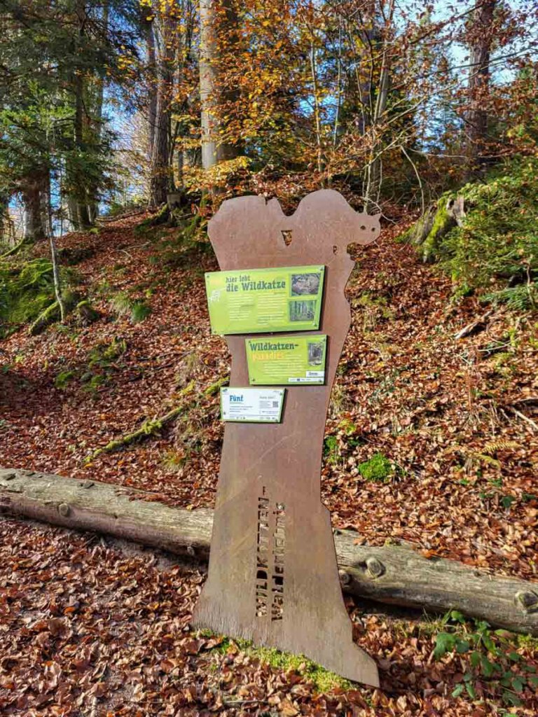 Mitmachstation des Wildkatzen Walderlebnis-Pfads bei Bad Herrenalb