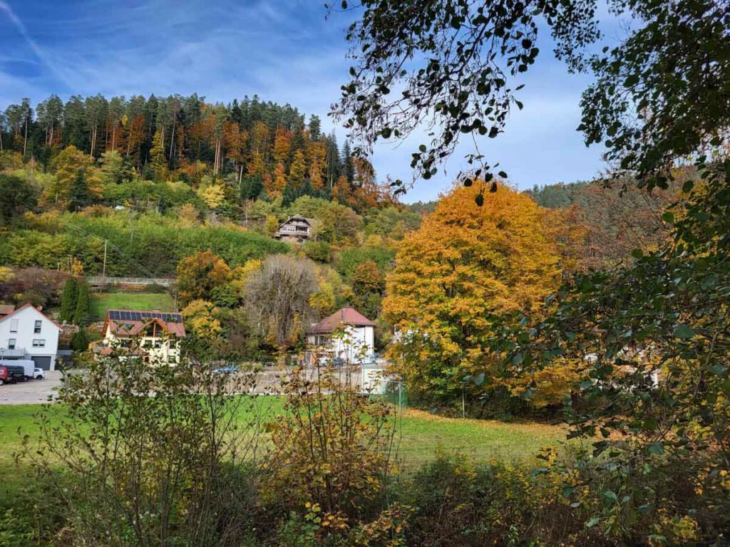 Blick zur Bad Teinacher Adolfshöhe