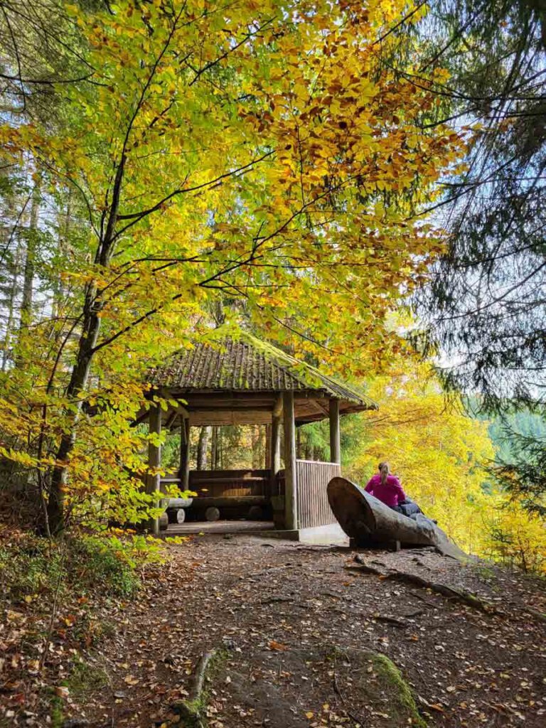 Rast bei der Berghütte hoch über Bad Teinach