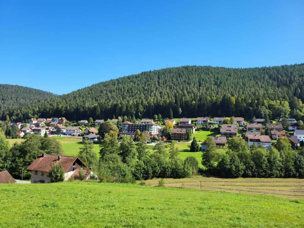 Blick auf Enzklösterle im Nordschwarzwald mit dem Enztalhotel
