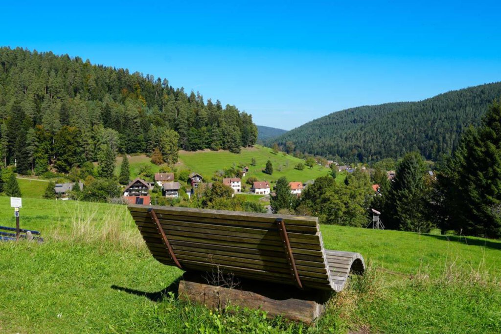 Aussicht von der Erdbeerplatte auf Enzklösterle im Schwarzwald