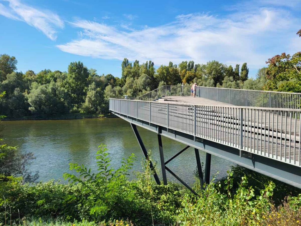 Besuch am Rhein: Der Rheinsteg in Bad Bellingen