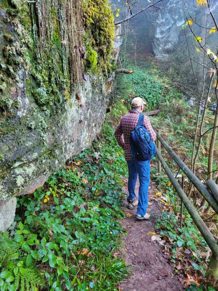 Wanderung durch das Naturdenkmal Großes Loch, eine naturbelassene Schlucht bei Bad Herrenalb im Nordschwarzwald