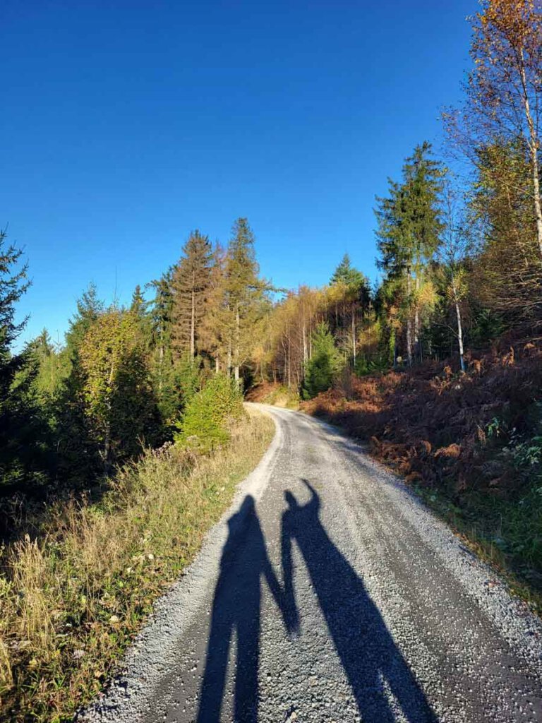 Abstieg zur Talwiesenschänke - die Schatten werden bereits länger
