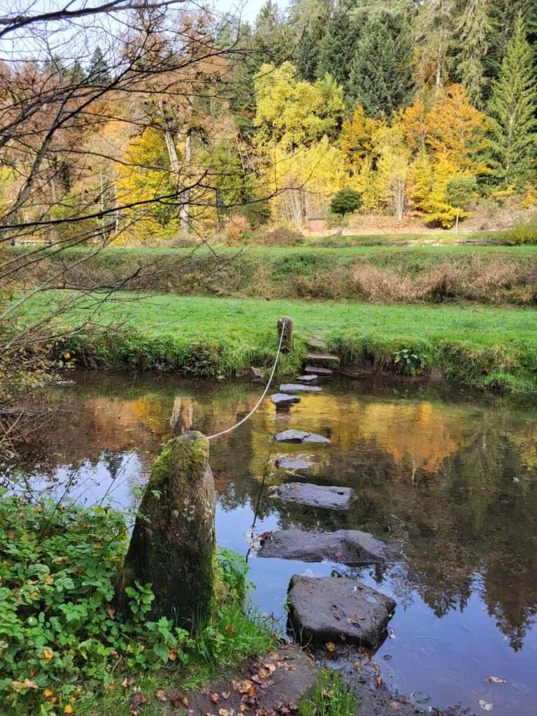 Beim Teinacher Premiumweg geht es auf Trittsteinen über die Teinach
