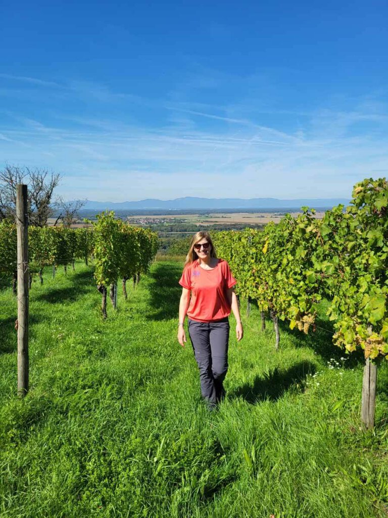 Spaziergang in den Weinbergen Bamlachs