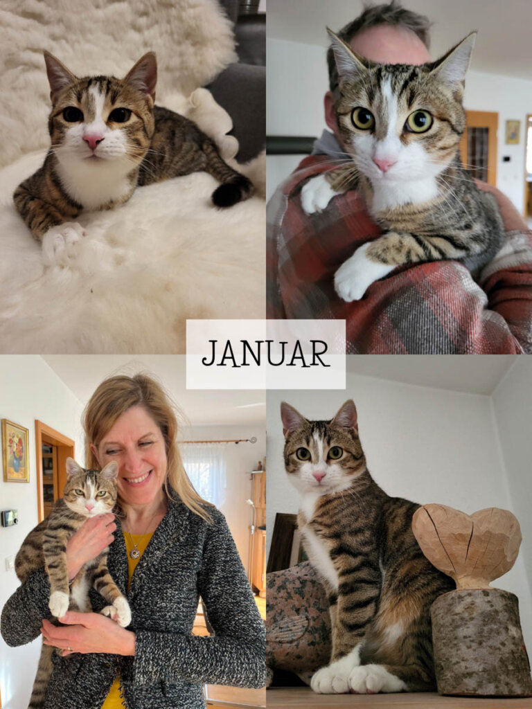 Travelsanne Jahresrückblick 2025: Januar