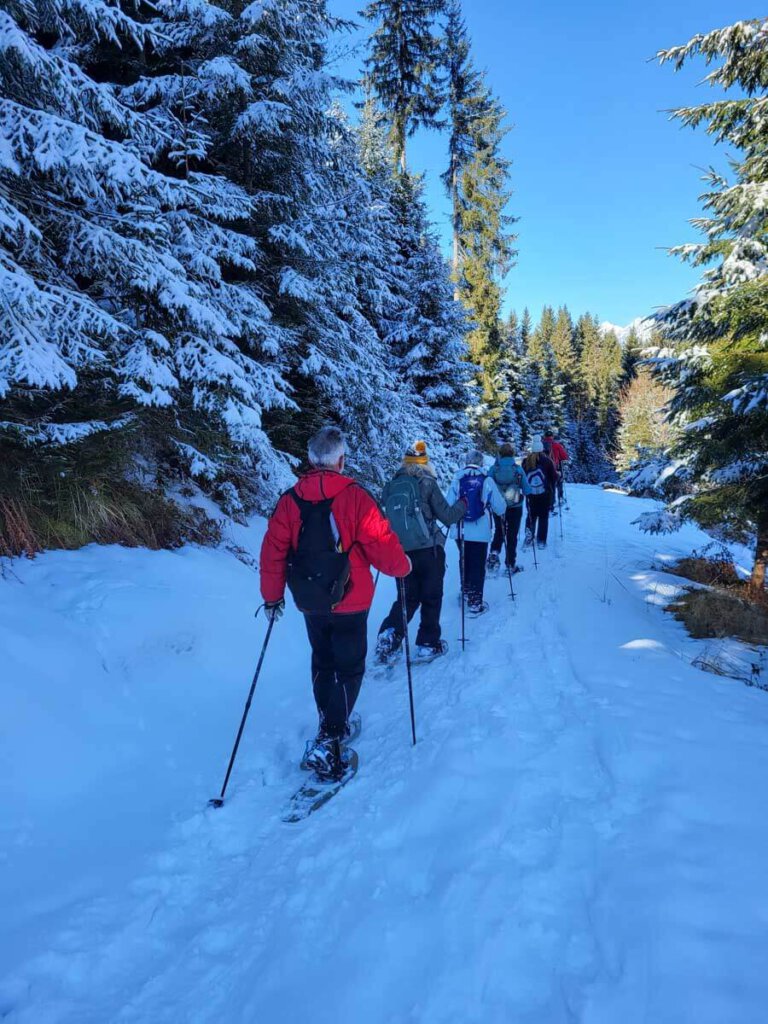 Schneeschuhwanderung in Tirol durch tief verschneite einsame Wälder am Kolsassberg