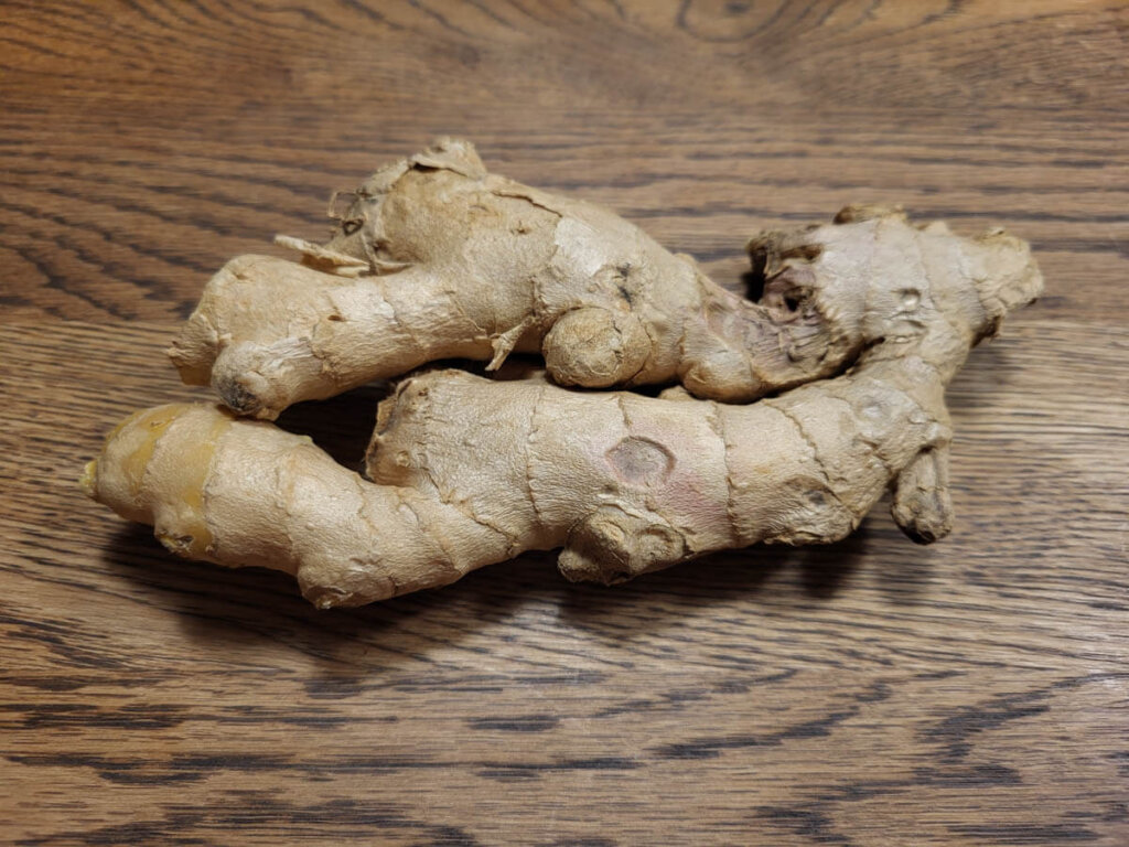 Bio-Ingwerknolle