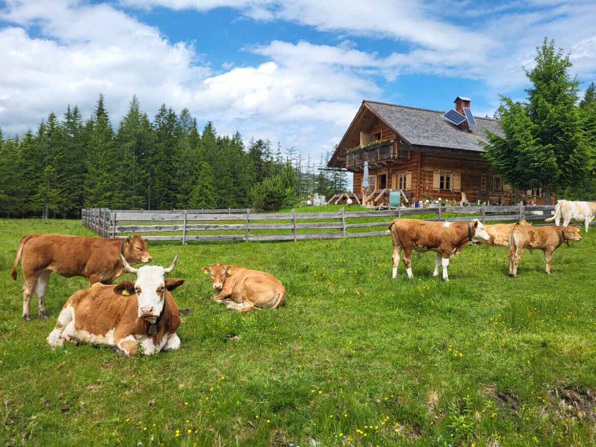 Die schönsten Berghütten in Österreich zum Übernachten & herrliche Hüttentouren