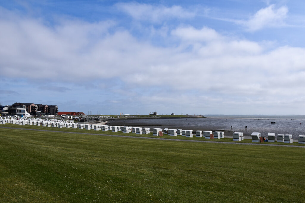 Strandkörbe am grünen Strand von Büsum