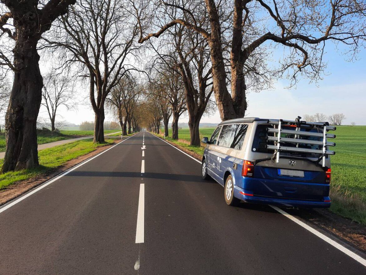 Bulli-Roadtrip im Frühling an die Ostsee