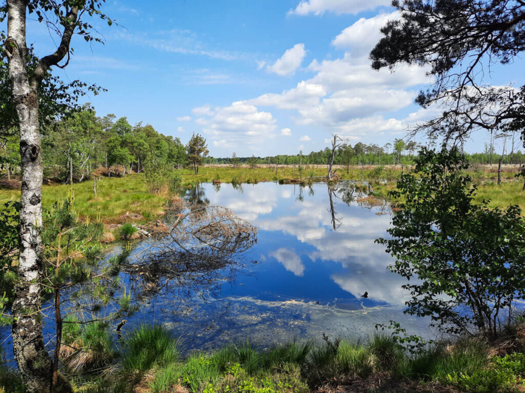 Naturparadies Pietzmoor in der Lüneburger Heide