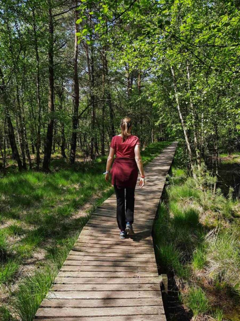 Wanderung durchs Pietzmoor in der Lüneburger Heide