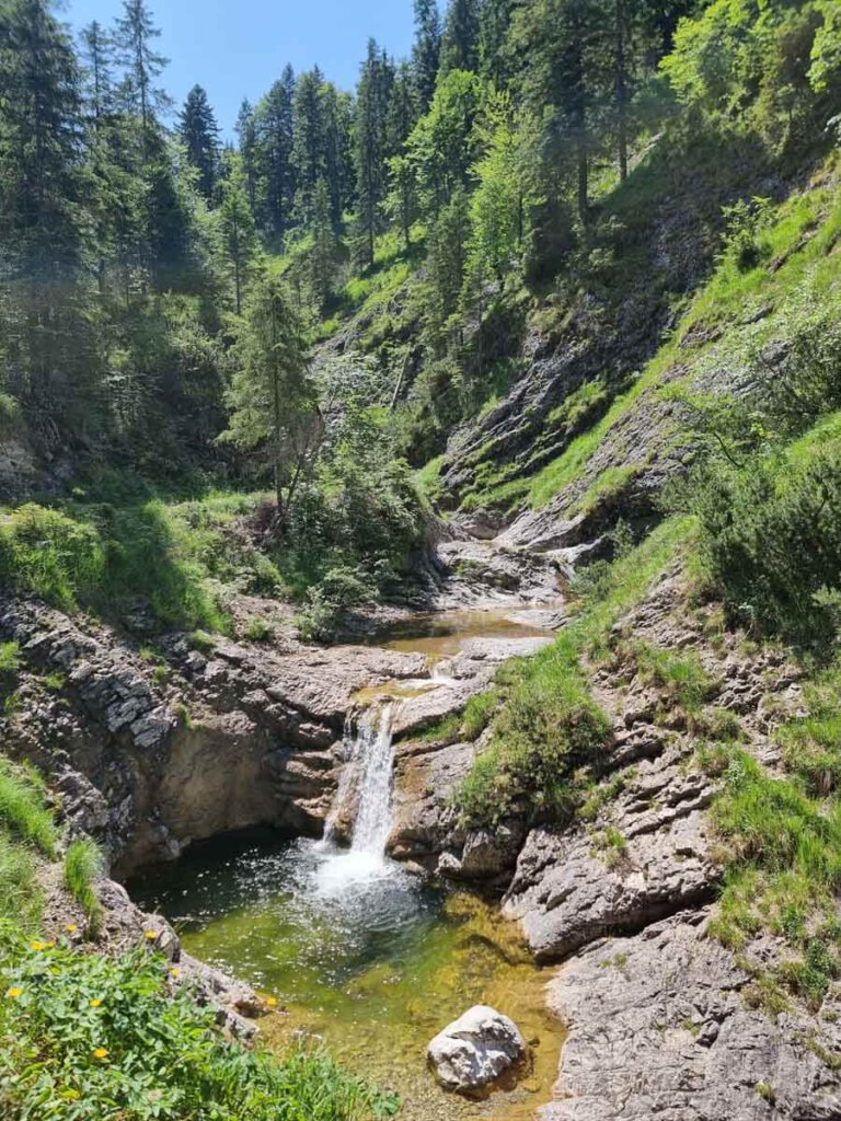 Aufstieg zum Rotwandhaus durch den idyllischen Pfanngraben