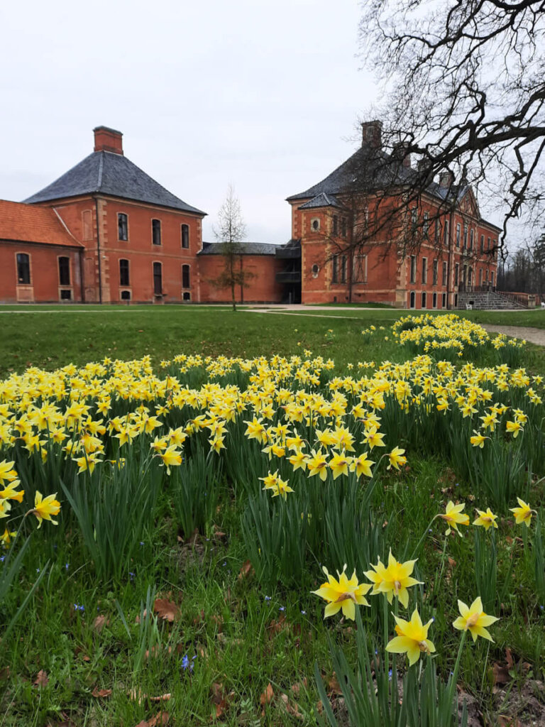 Lohnendes Ziel: Schloss Bothmer im Klützer Winkel in Mecklenburg-Vorpommern im Frühling