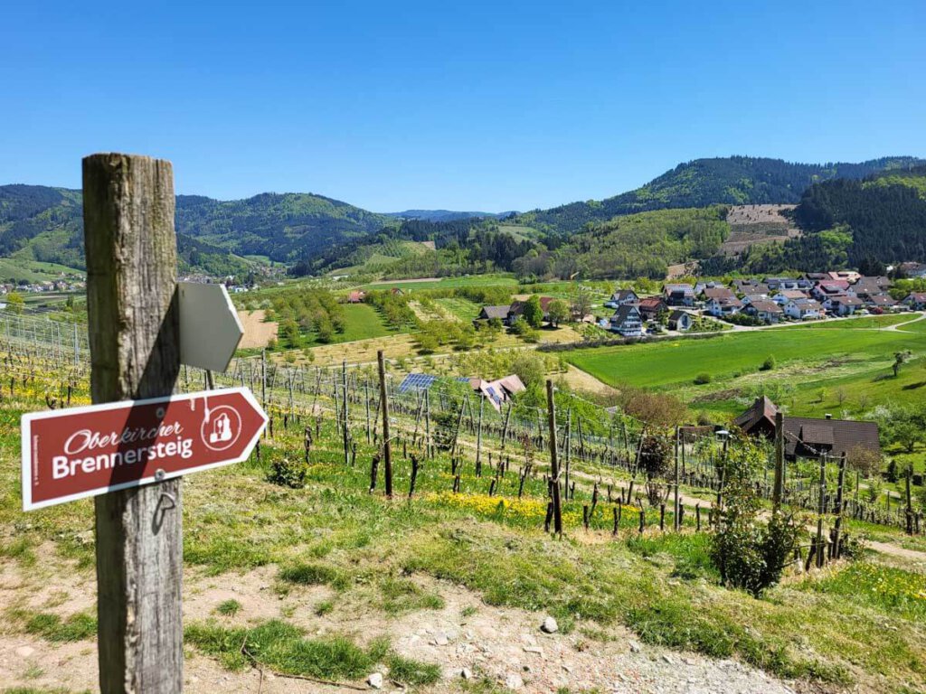 Gut ausgeschildert: Der Oberkircher Brennersteig