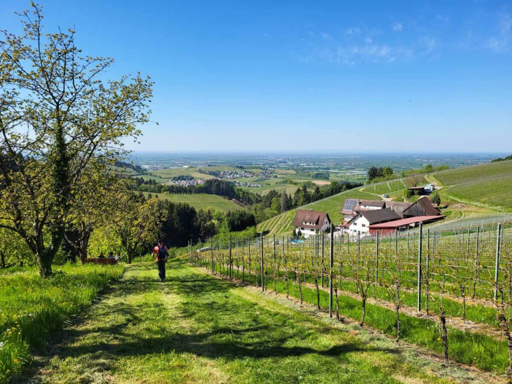 Abstieg zum Busseck-Hof im Oberkircher Ortsteil Bottenau