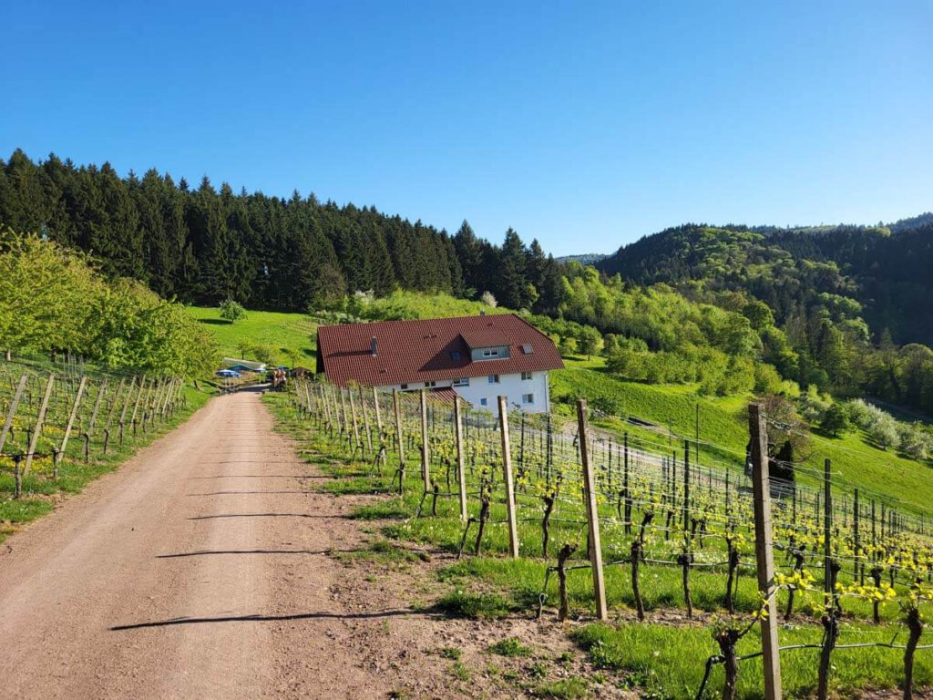 Blick auf den idyllisch gelegenen Köbelesberghof am Oberkircher Brennersteig