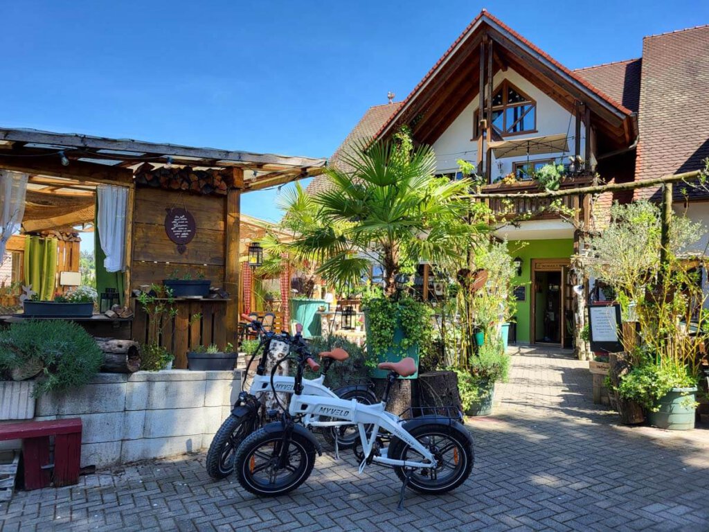 Gasthof zur Winzerstube mit herrlichem Garten in Oberkirch-Nußbach
