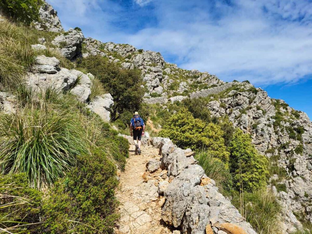 Atemberaubende Pfade auf dem Trockenmauerweg auf Mallorca