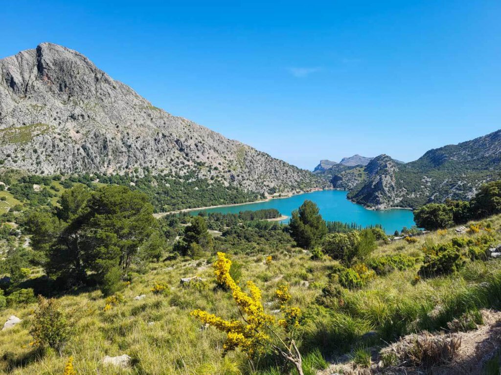 Der türkisblaue Stausee Gorg Blau in Mallorcas Serra de Tramuntana