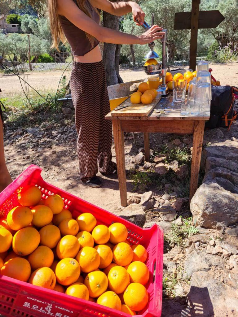Frisch gepresster Orangensaft am GR221