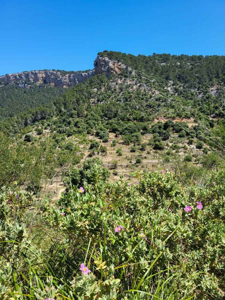 Steiler Abstieg nach Esporles