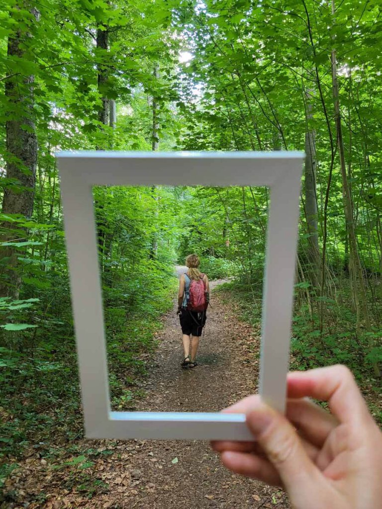 Perspektivenwechsel beim Waldbaden mit Peggy Wandel von Wandel im Wald