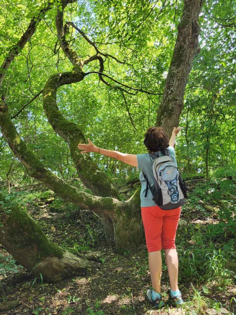 Achtsamer Waldspaziergang: Stress & Sorgen bleiben bei der Waldgarderobe