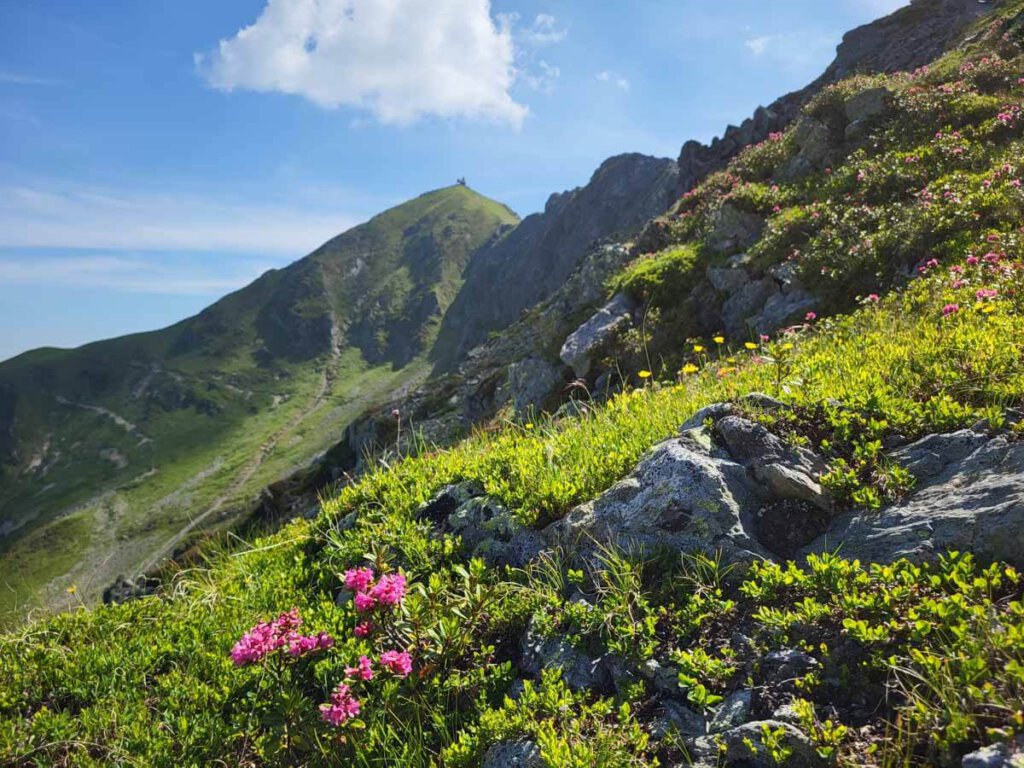 Herrlicher Ausblick auf die Kellerjochkapelle, den schönsten Platz Tirols