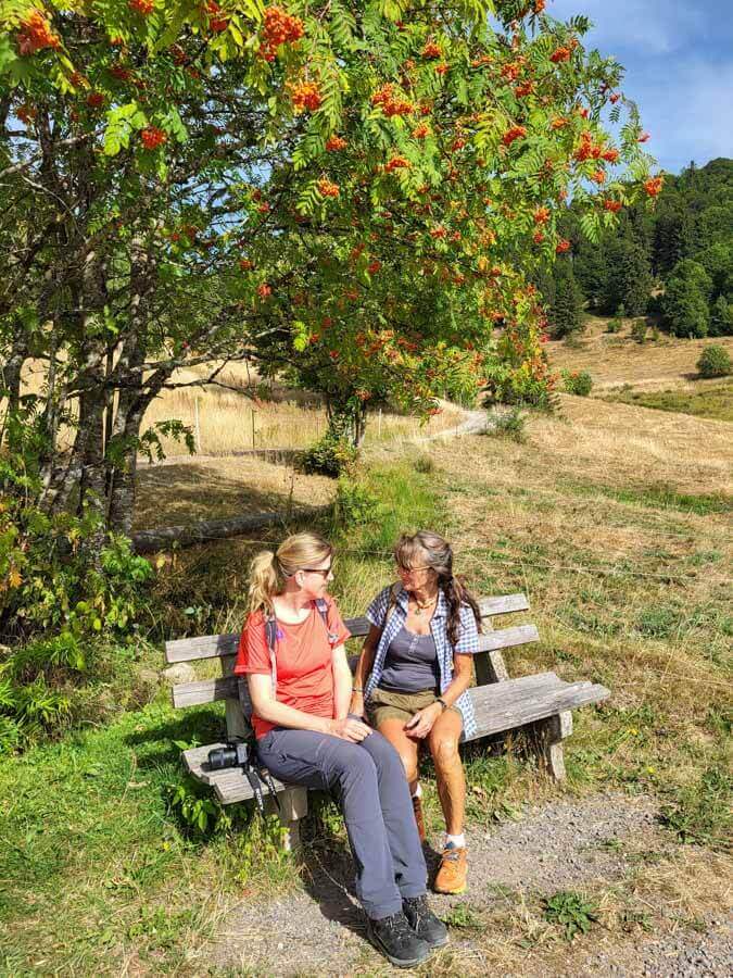 Fachsimpeln über Kräuter & Heilpflanzen bei der Kräuterführung mit Ursel Lorenz am Schauinsland