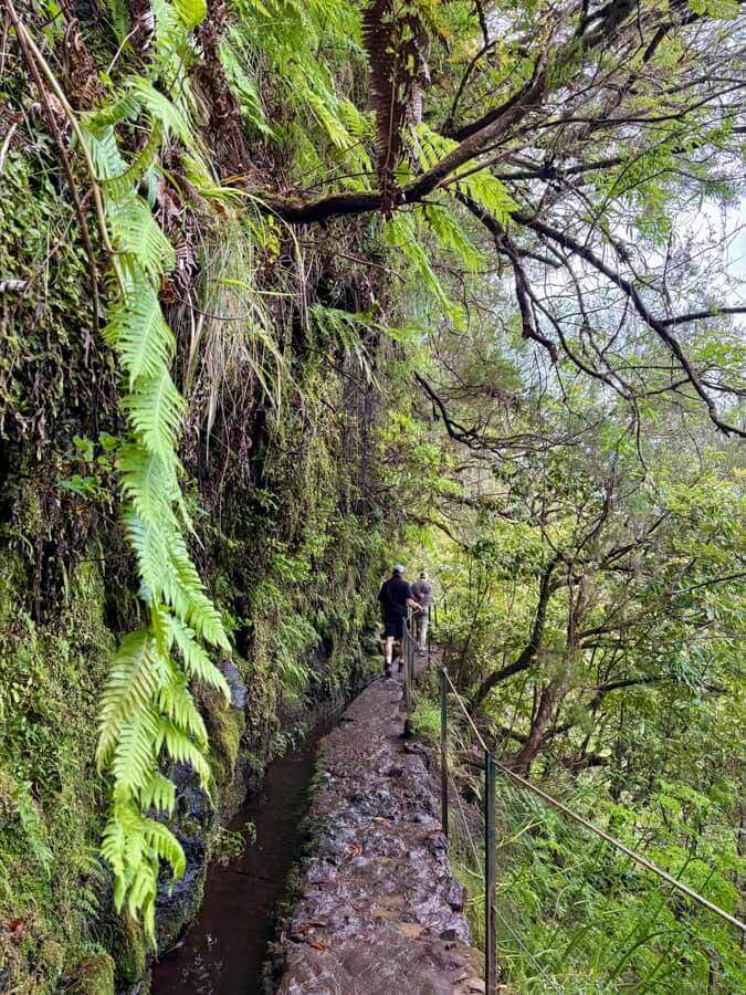 Wanderweg auf Madeiras PR9, der Levada do Caldeirão Verde