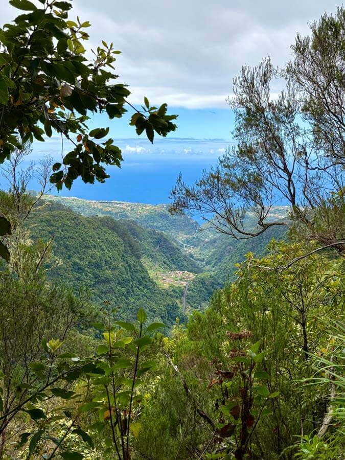 Ausblick über den Lorbeerwald auf dem Levada Wanderweg PR9