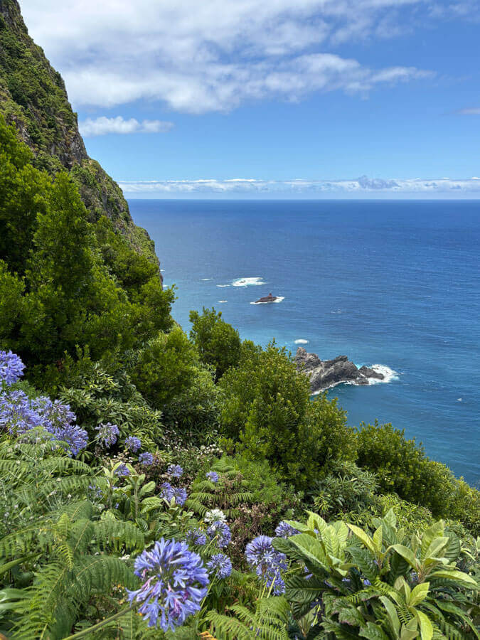 Ausblick auf der Küstenwanderung Caminho da Entrosa auf Madeira auf Meer, Grünpflanzen und blau blühende Blumen