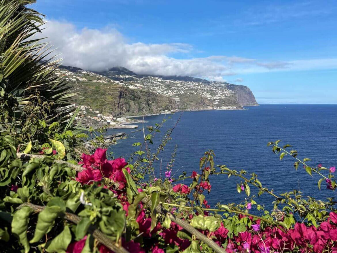 Blick auf das Cabo Girão an der Südküste Madeiras, im Vordergrund blühende Bougainvillea-Sträucher.