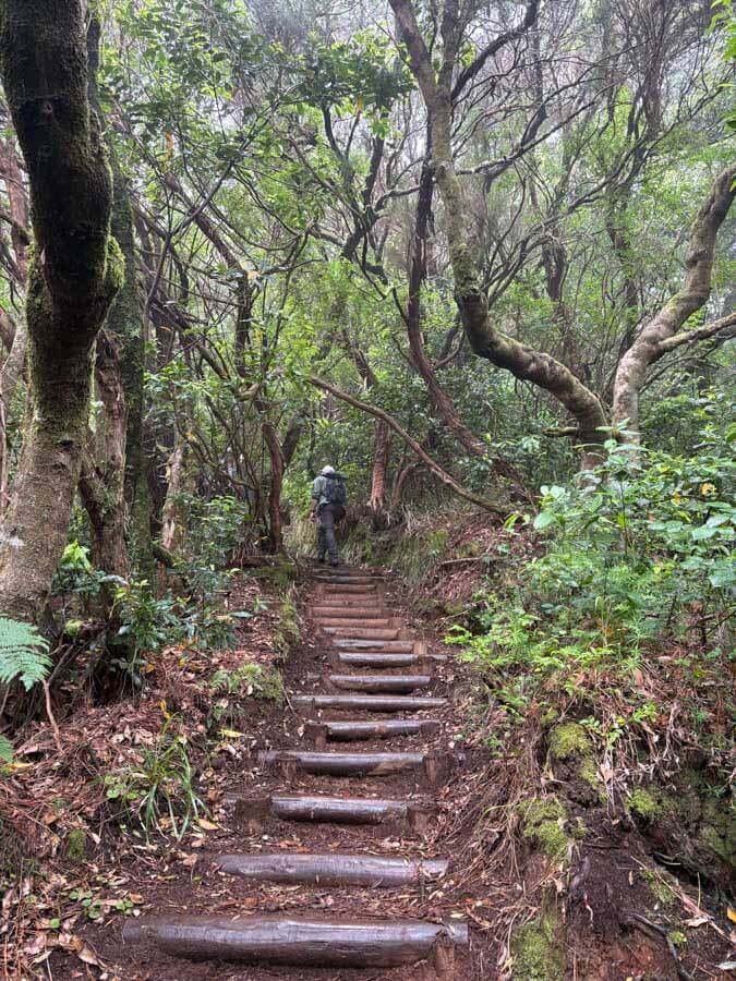 Wandern auf Madeira auf dem PR17 - Caminho do Pináculo e Folhadal