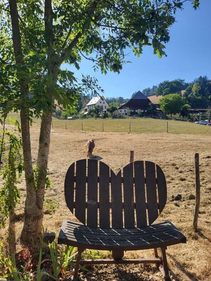Der Ruhbauernhof im Dreisamtal