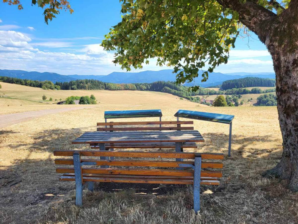 Picknickplatz auf der Panorama-Wanderung in Freiamt
